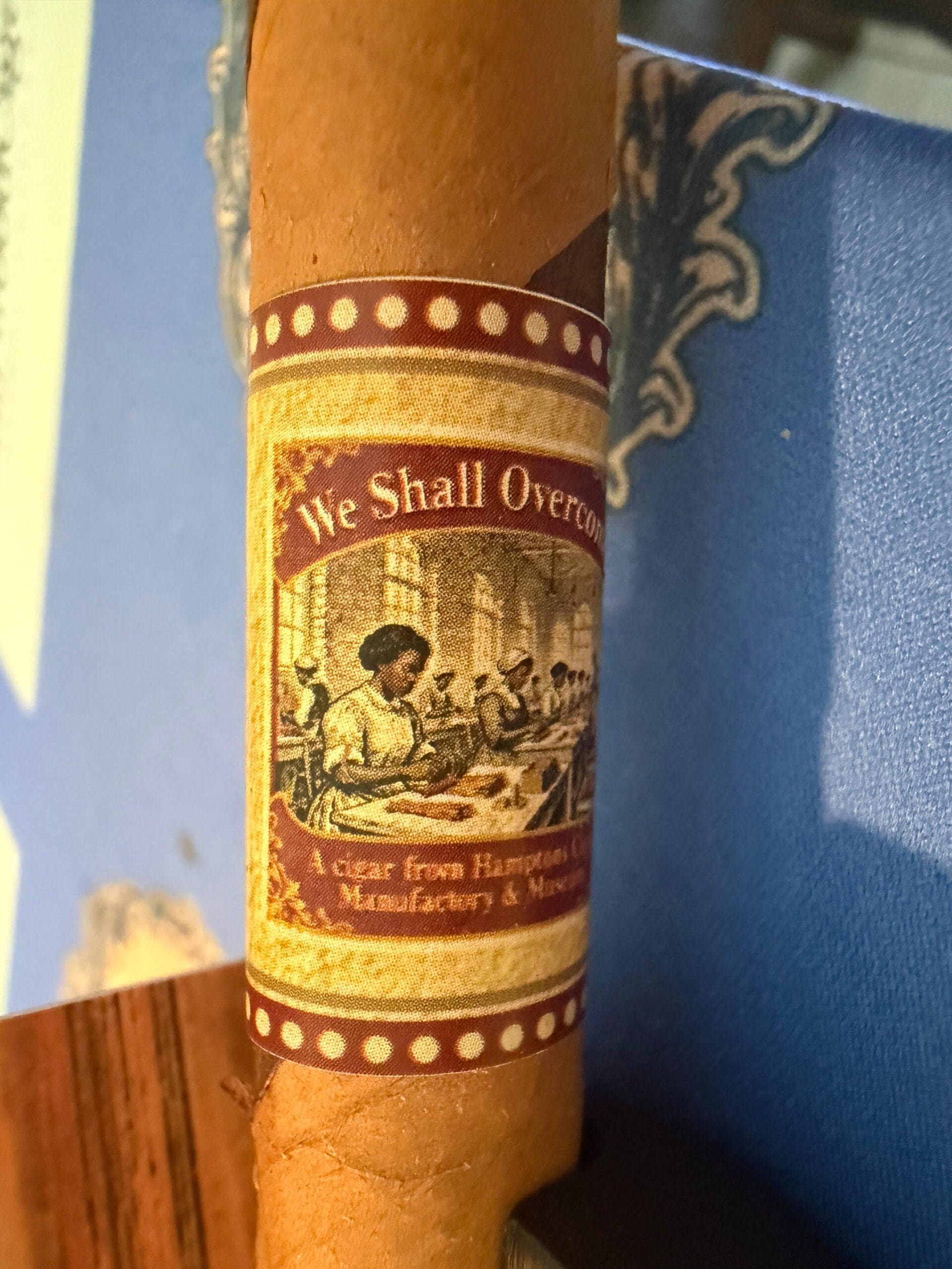 We Shall Overcome - Image 7
